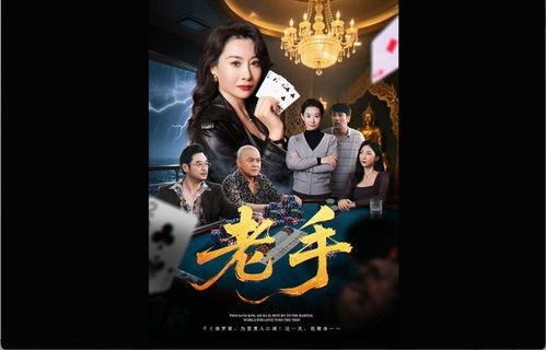 老手在线观看完整版